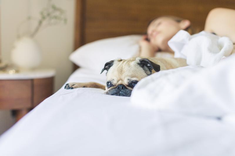 Sonesta Simply Suites Somerset Exteriör bild