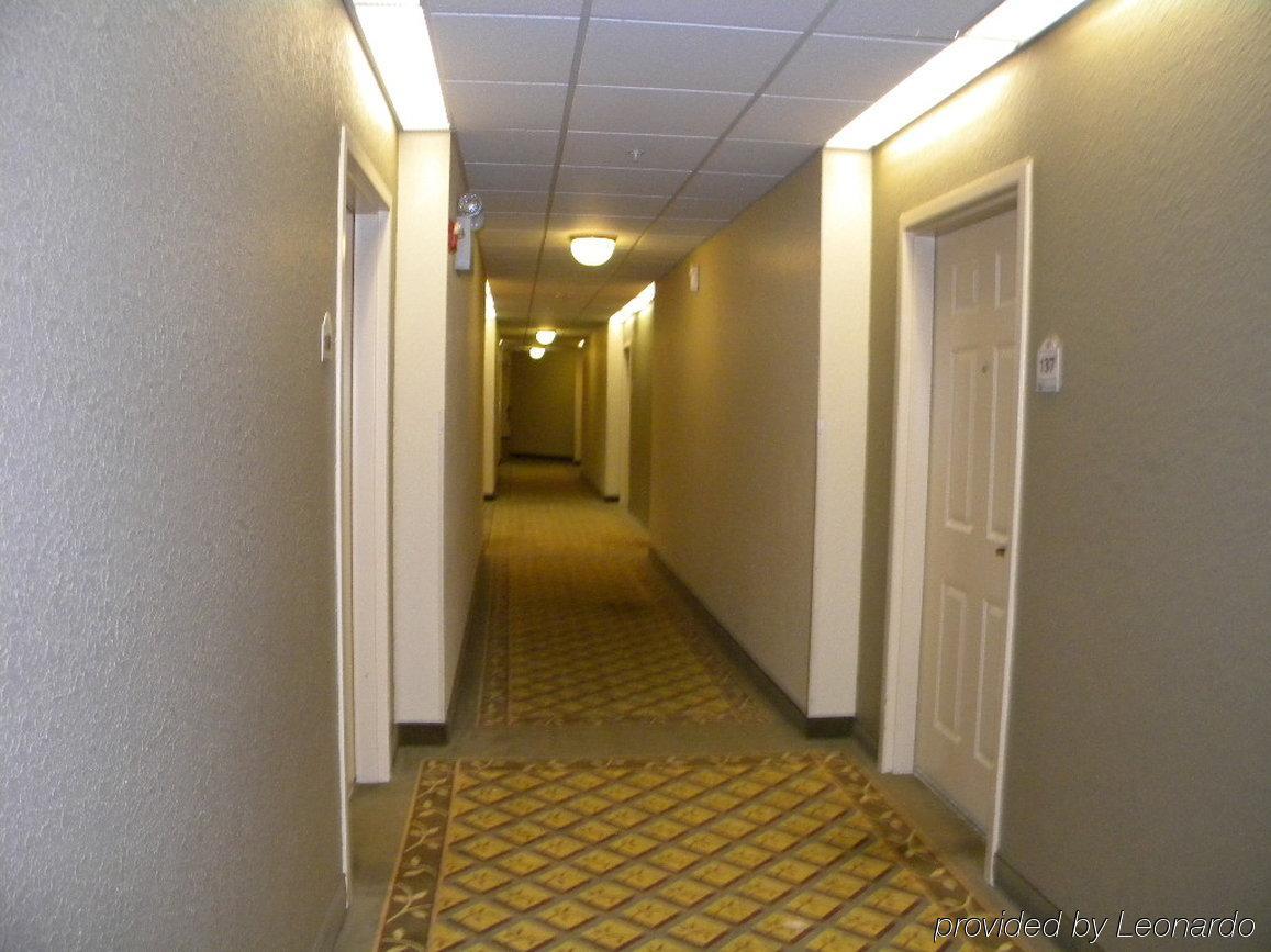 Sonesta Simply Suites Somerset Inreriör bild